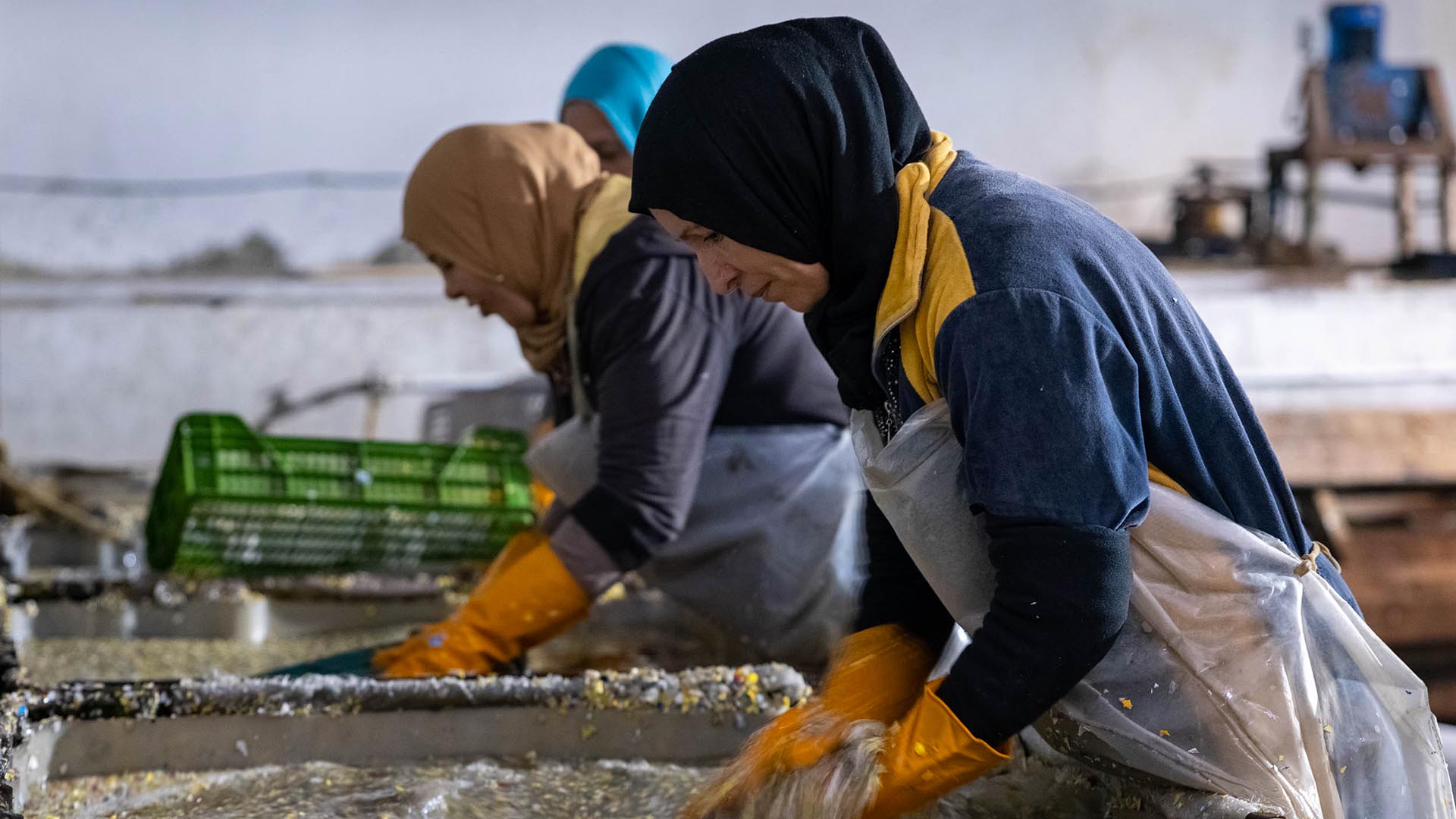 Recyclage déchets Tunisie