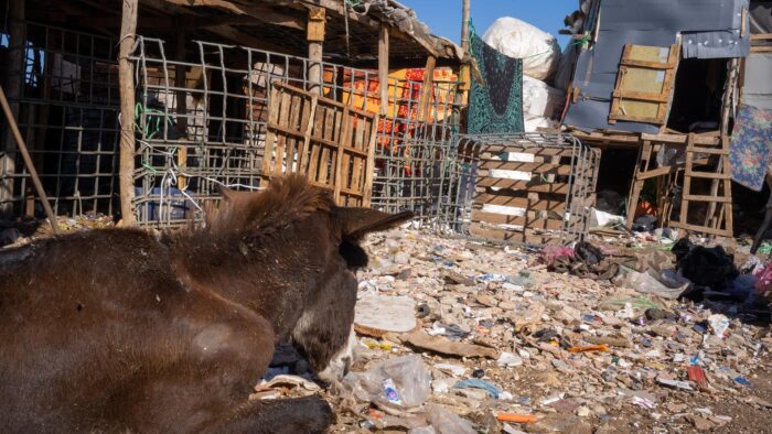 À La Rencontre Des Initiatives Du Recyclage Au Maroc | Plastic Odyssey