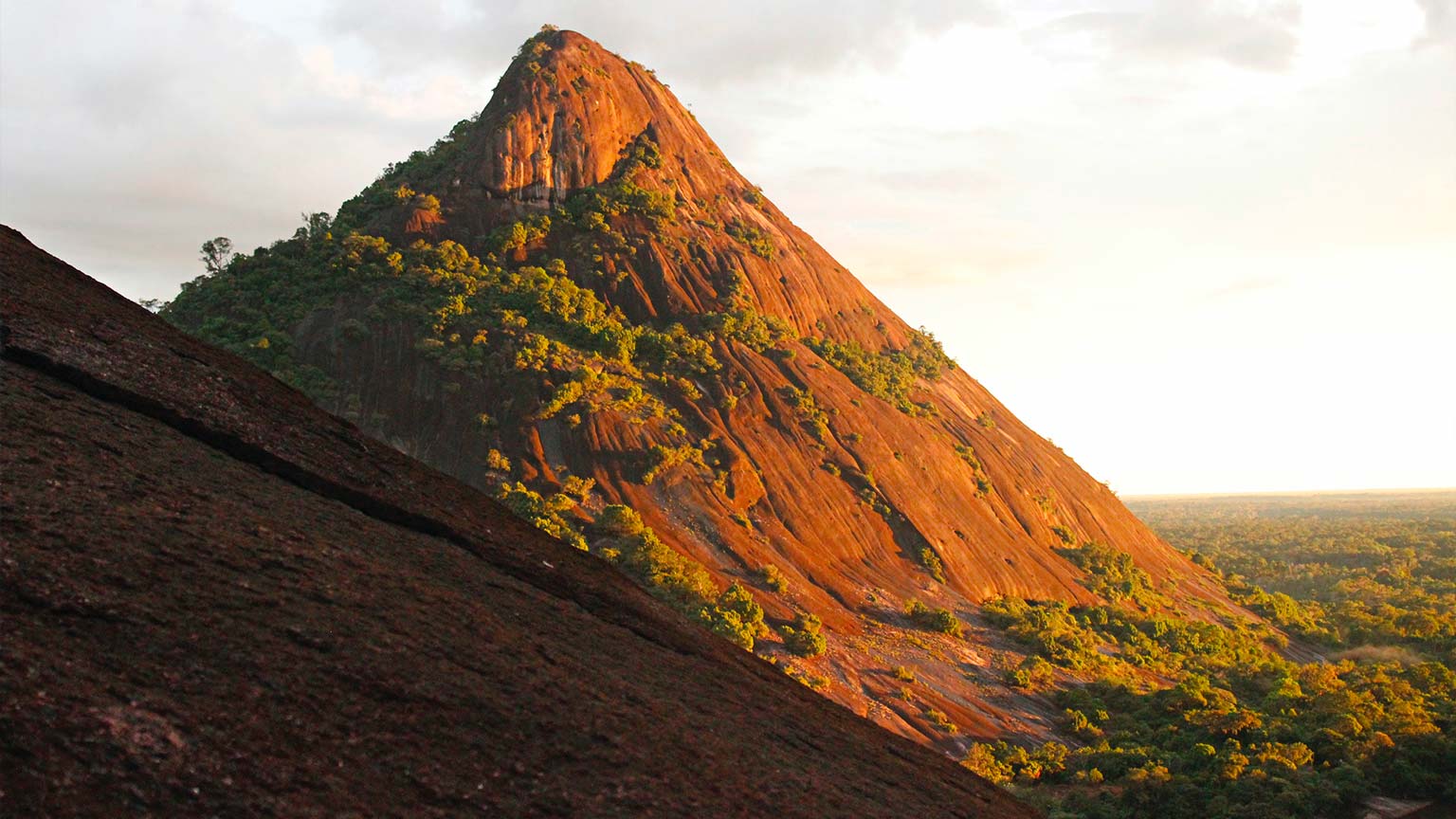 Guyane