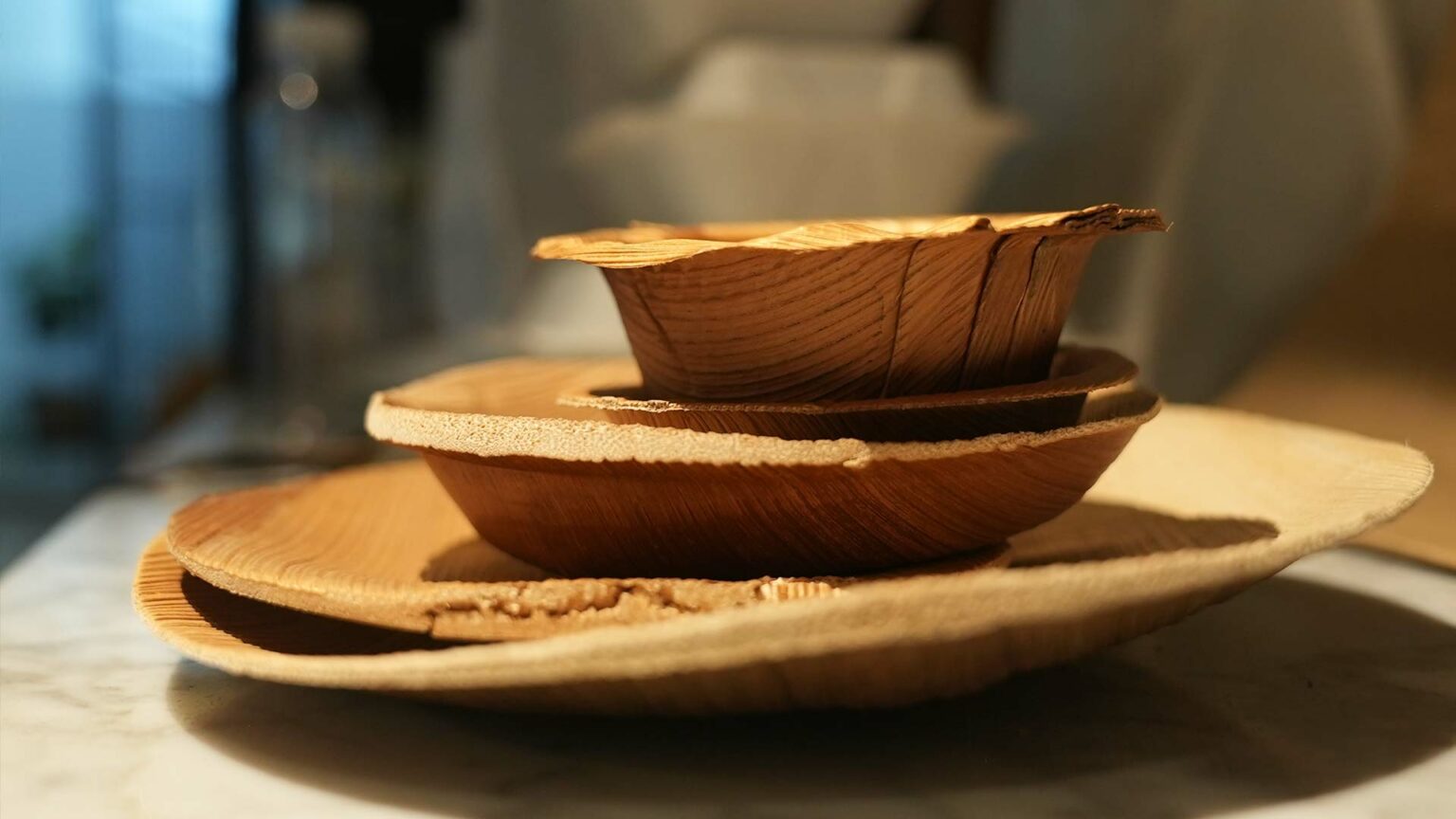 Green Depot: biodegradable containers made from 