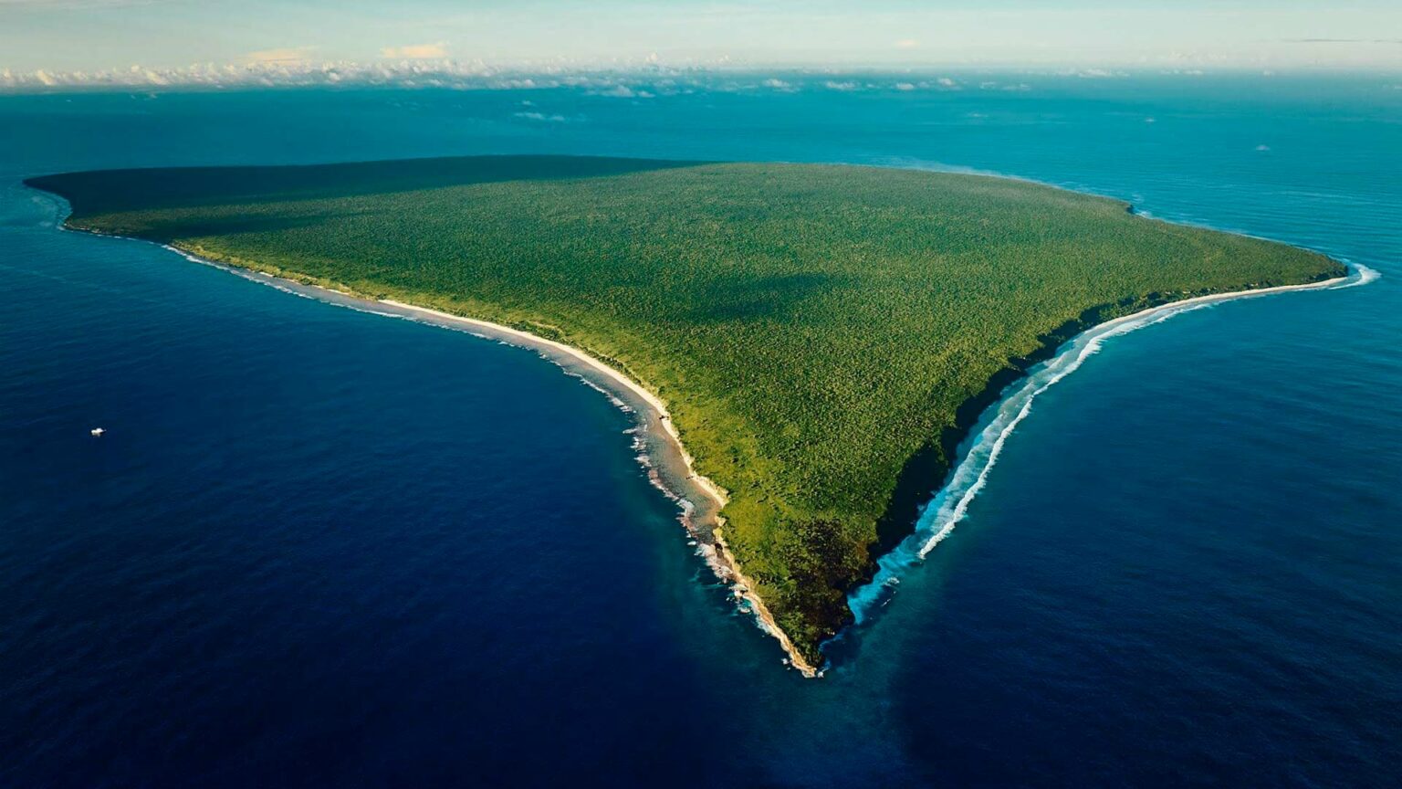 Expédition Henderson l’île débarrassée de 9 tonnes de déchets